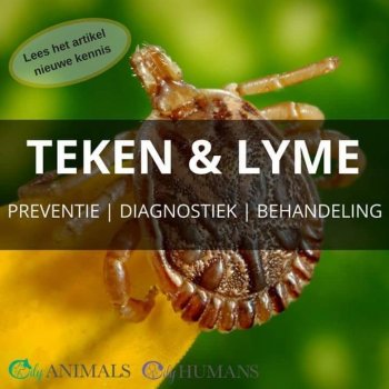 Teken en lyme... Etherische oliën kunnen hierin onder steunen.