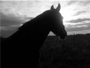 Smile from the inside and you will smile from the outside...