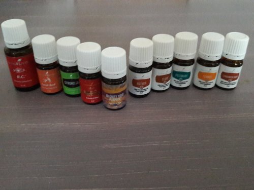 Oily Hoeve welzijn voor mens en dier